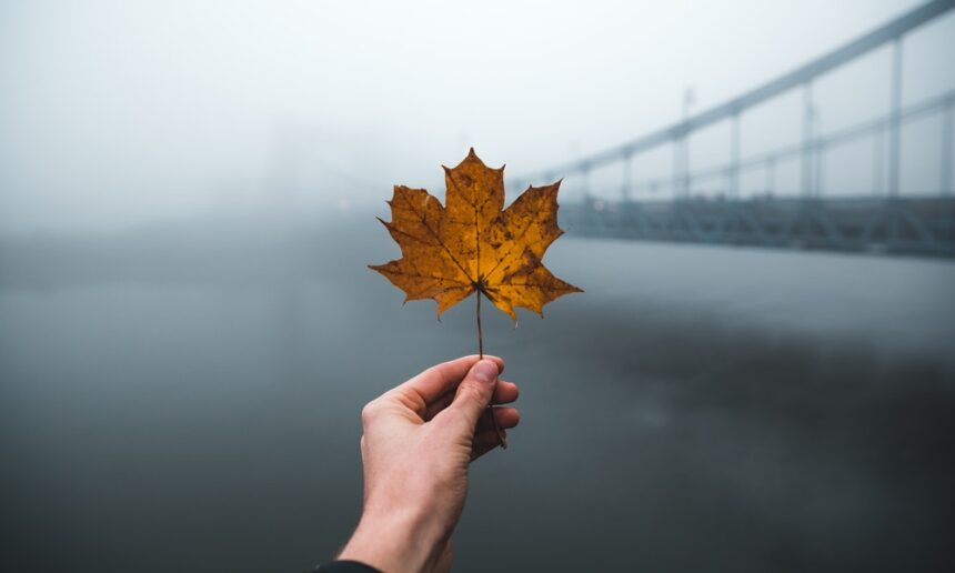 Canada PNP Updates Canada PNP Updates