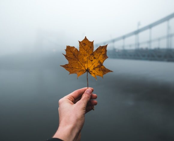 US Immigration Suspension—4 Reasons Why Canada’s the Best Offshoring Destination for US Employers US Immigration Suspension—4 Reasons Why Canada’s the Best Offshoring Destination for US Employers
