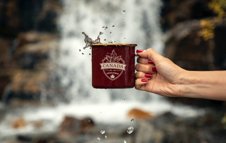 No Need for FOMO—Canada Likely to Conduct More Monster Express Entry Draws in 2021 Canada immigration: Express Entry