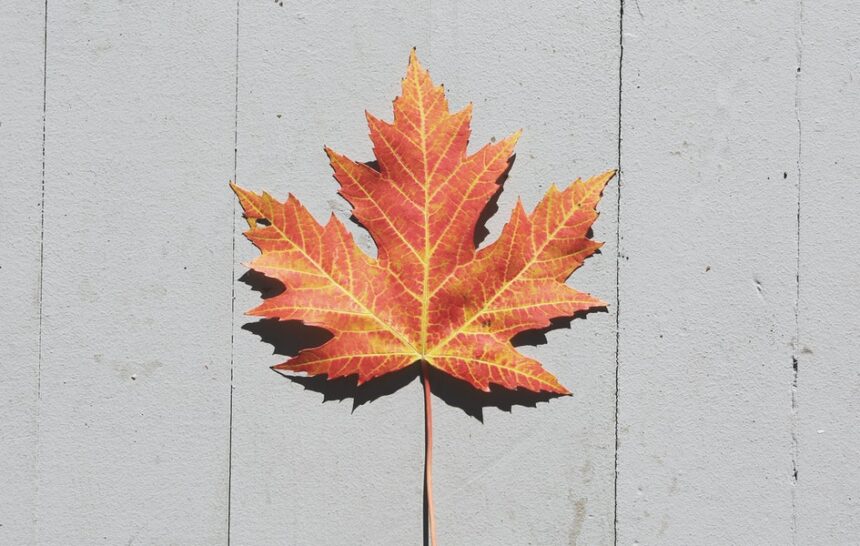 Pandemic Wrecked your Canada Dream Here’s How Canada’s Provinces are Likely to Recover Canada immigration