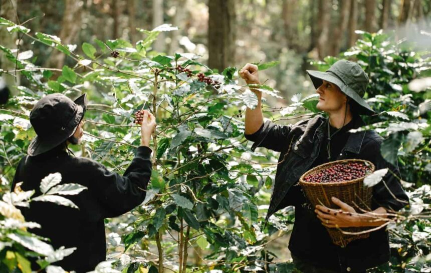 Canada Agri-Food-Pilot