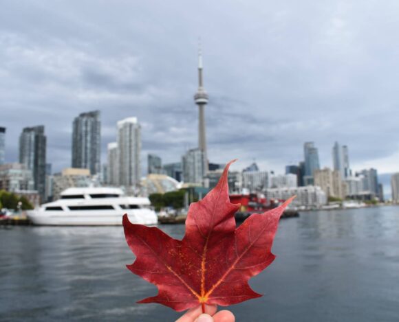 Canada’s Immigration Backlog Canada’s Immigration Backlog