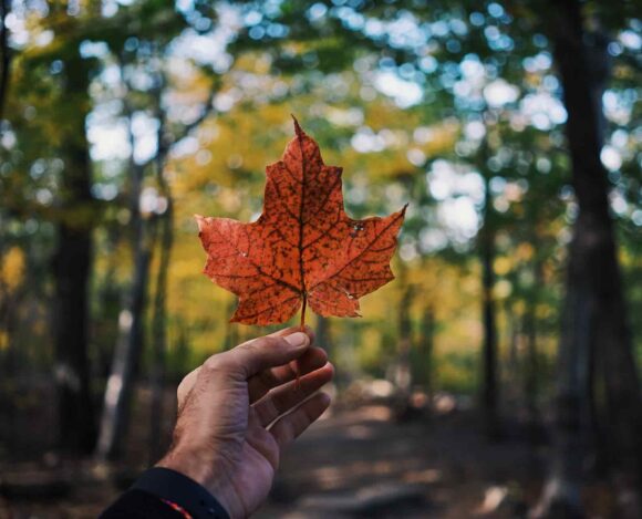Canada Immigration Plan 2022-2024—Making Studying, Working, and Settling in Canada Easier Canada Immigration Plan 2022-2024—Making Studying, Working, and Settling in Canada Easier