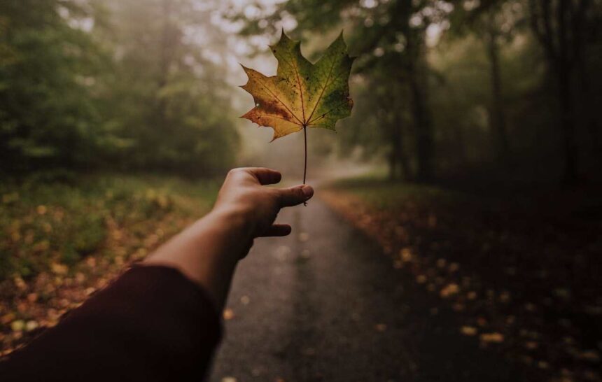 Immigration Invitations