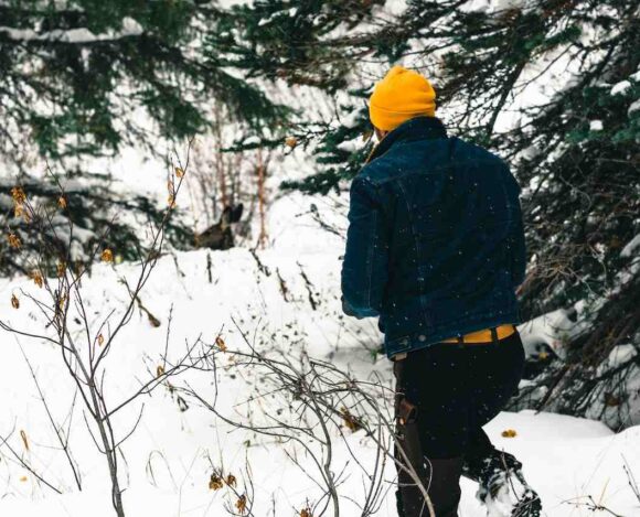 Ontario, British Columbia, Alberta, and Manitoba Released Provincial Nominee Program Draw Results-IMC Provincial Nominee Program Draw