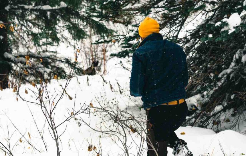 Provincial Nominee Program Draw