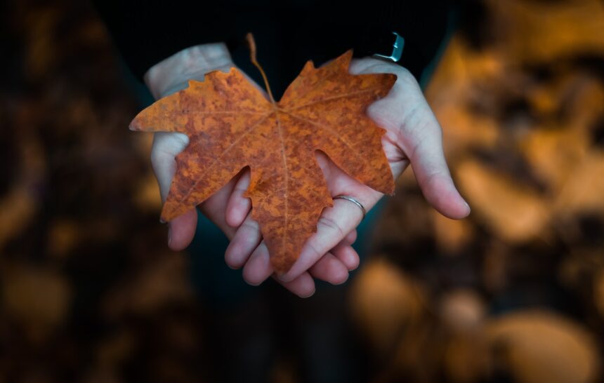 The Majority of Canadians See Increased Immigration as Beneficial for the Country's Economy Increased Immigration