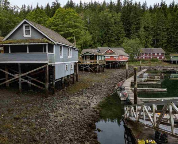 British Columbia and Prince Edward Island Issued Invitations in Latest PNP Draws Latest PNP Draws