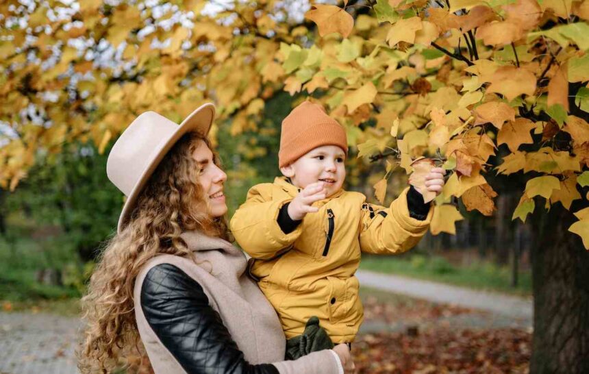 Canada Issued 800 Invitations to French-Language Candidates- ImmigCanada third Express Entry draw