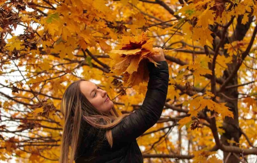 Manitoba Invited 623 Foreign Workers and Graduates- ImmigCanada Manitoba latest PNP Draw