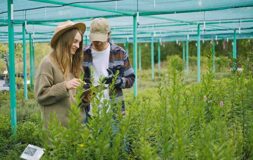 IRCC's Pioneering Category-Based Express Entry Draw for Agriculture and Agri-Food Occupations- ImmigCanada Express Entry Draw for Agriculture