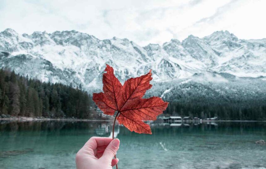 Latest All-Program Express Entry Draw