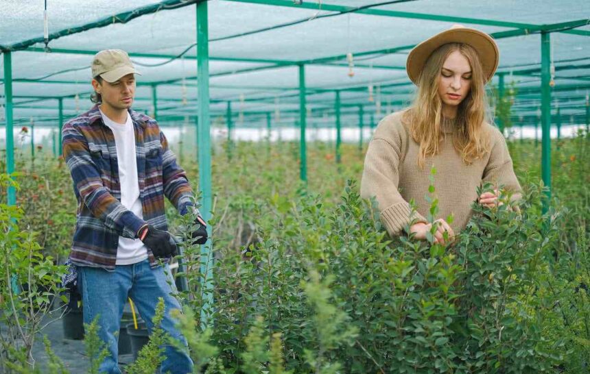 IRCC Releases Fourth Express Entry Draw of the Week and Issues 400 Invitations- ImmigCanada Fourth Express Entry Draw of the Week