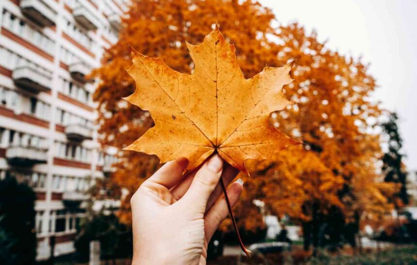 British Columbia Issued 220 Invitations