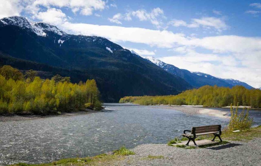 Latest Ontario PNP Draw