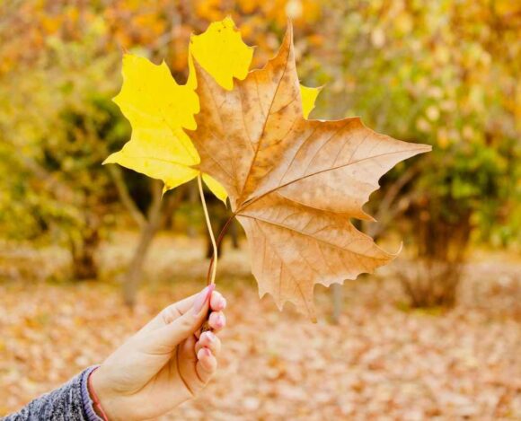 Immigration Policy Reform