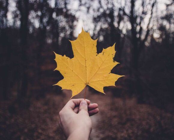 Understanding the Latest Saskatchewan PNP Updates- ImmigCanada Latest Saskatchewan PNP