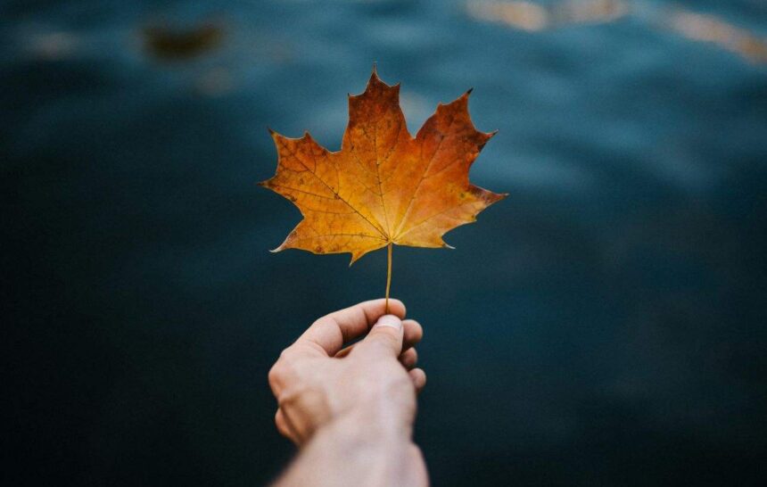 CUAET Measures for Ukrainians