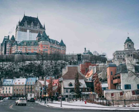 French Study Requirement