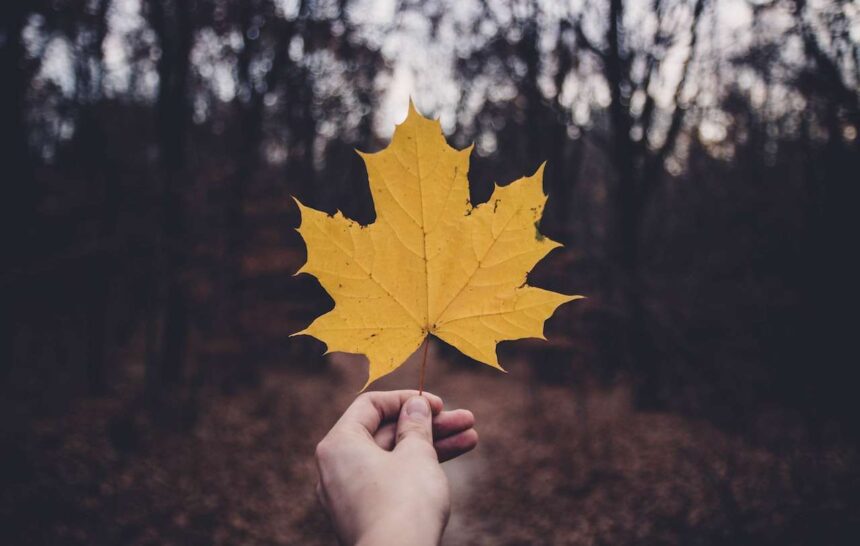 Strengthening Canada's Immigration System