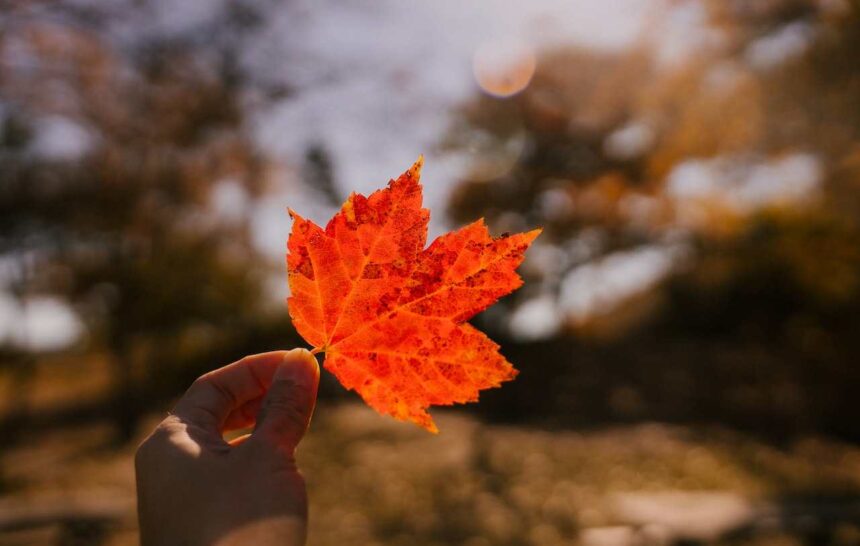 New Brunswick Skilled Worker Stream