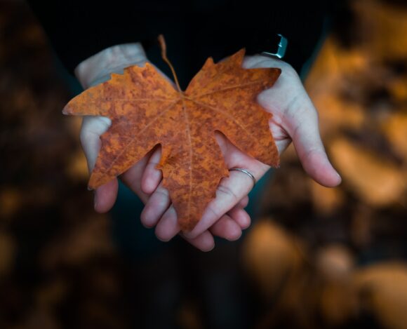 Significant Investments in Local Performing Arts in Canada A Boost for Community Spirit- ImmigCanada Local Performing Arts in Canada