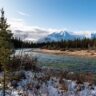 Temporary Pause on Whitehorse-Based Yukon Nominee Program Applications