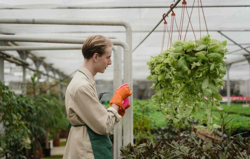 Ottawa's New Initiative to Improve Working Conditions for Migrant Farm Workers- ImmigCanada Improve Working Conditions