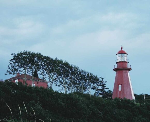 Prince Edward Island PNP