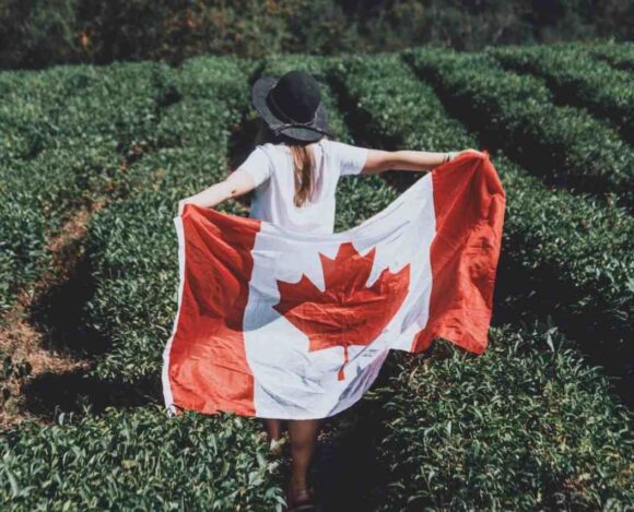 Express Entry Draw #319 Invites 648 PNP Candidates for Canadian Immigration- ImmigCanada Express Entry Draw #319