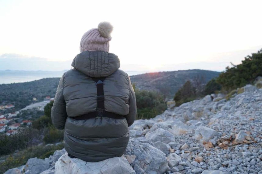 Refugee Immigration System