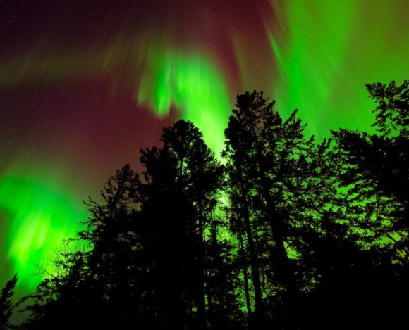 Manitoba Provincial Nominee Program - Addressing Technical Challenges While Continuing to Welcome Applicants