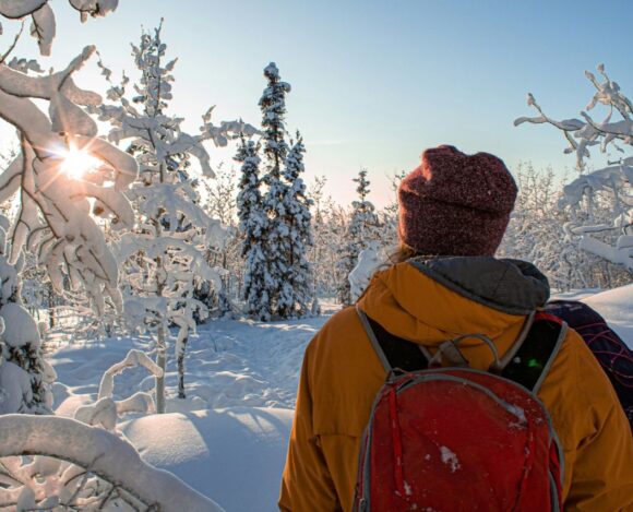 Alberta AAIP Sets a Record-Breaking Success with Rural Renewal Stream in 2024- ImmigCanada Rural Renewal Stream