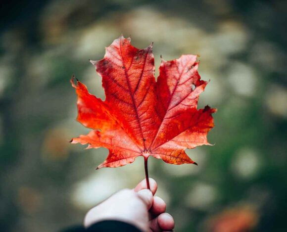 Canadian Citizenship Act