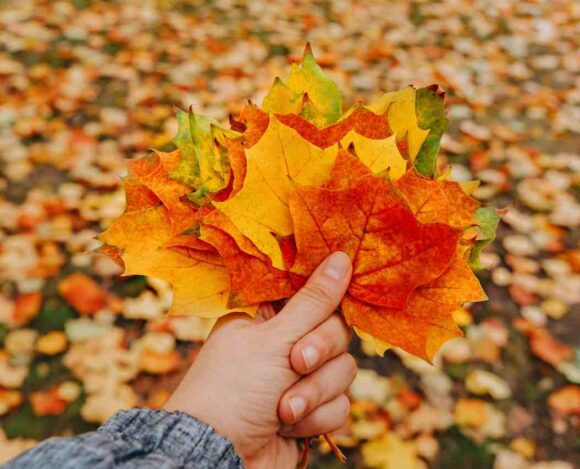 Saskatchewan’s Job Boom