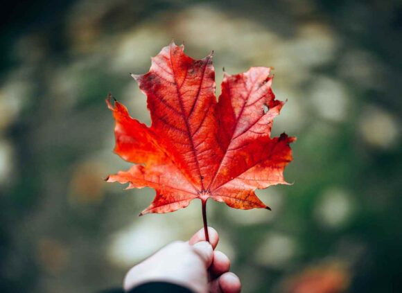 Minimum Wage Rates in Canada