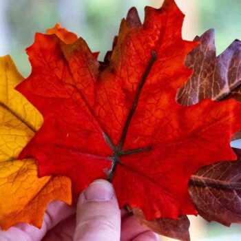 Immigrant Retention in Canada