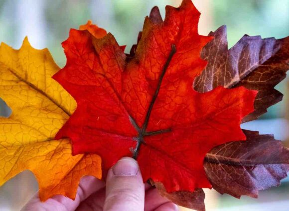 Immigrant Retention in Canada