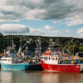 Immigration New Brunswick Extends Help for Atlantic Immigration Program Endorsees