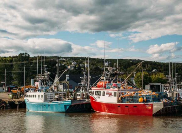 Immigration New Brunswick Extends Help for Atlantic Immigration Program Endorsees