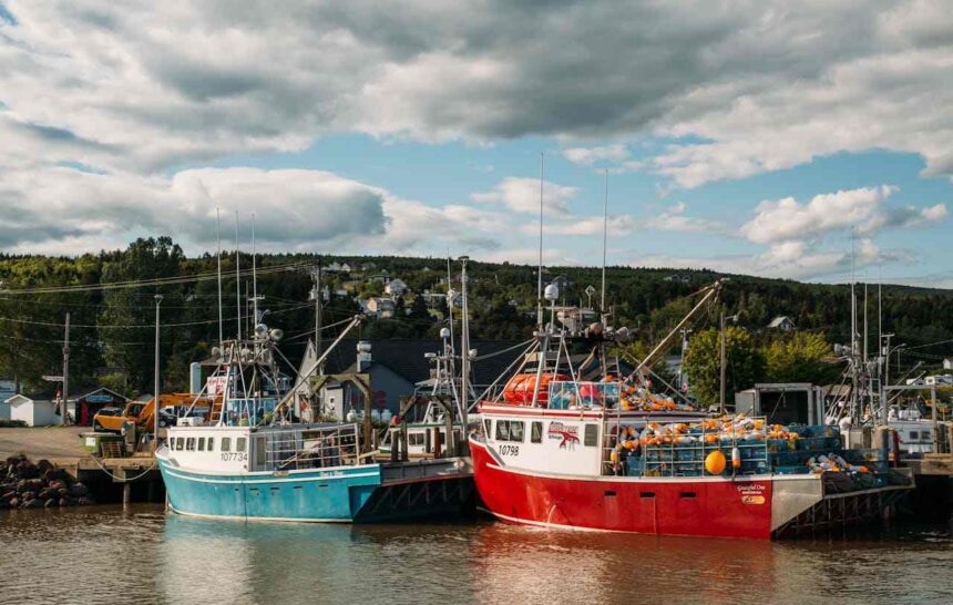 Immigration New Brunswick Extends Help for Atlantic Immigration Program Endorsees