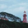 Newfoundland and Labrador PNP Latest Draws