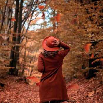 Express Entry PNP Draw #380