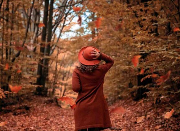 Express Entry PNP Draw #380