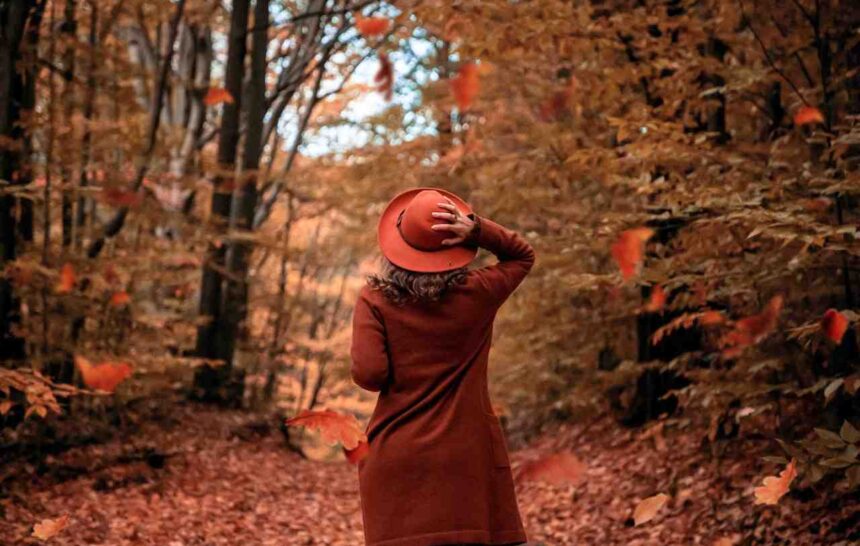 Express Entry PNP Draw #380