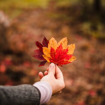 Arab Populations in Canada