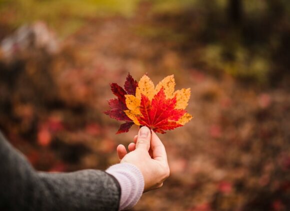 Arab Populations in Canada