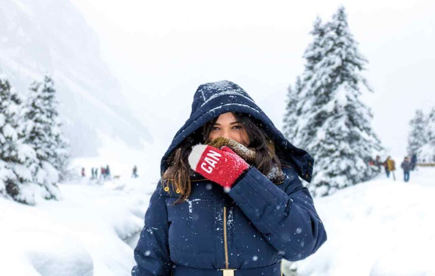 What is the Provincial Nominee Program and how does it work in Canada- ImmigCanada What is the Provincial Nominee Program