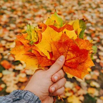 Canadian immigration self-representation risks