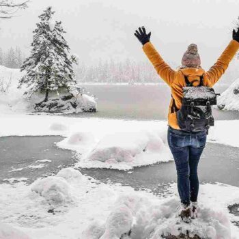 Non Permanent Residents In Canada